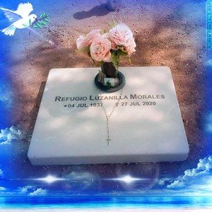 Meet your Posher, Patty